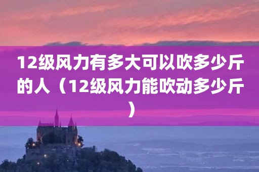 12级风力有多大可以吹多少斤的人（12级风力能吹动多少斤）
