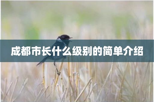 成都市长什么级别的简单介绍