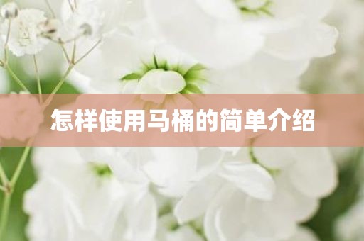 怎样使用马桶的简单介绍