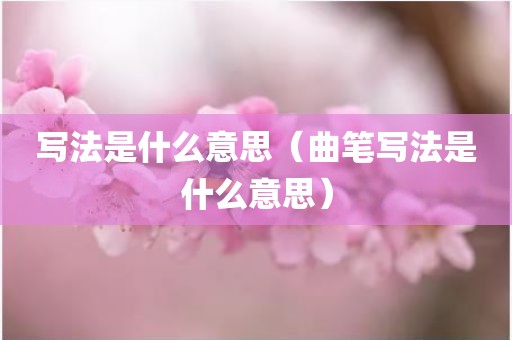 写法是什么意思（曲笔写法是什么意思）