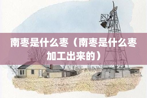 南枣是什么枣（南枣是什么枣加工出来的）