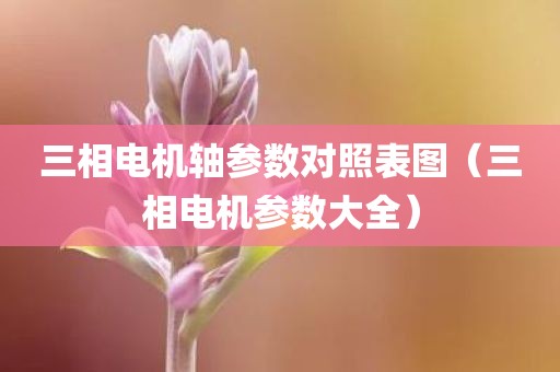 三相电机轴参数对照表图（三相电机参数大全）