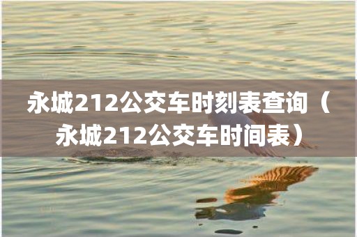 永城212公交车时刻表查询（永城212公交车时间表）