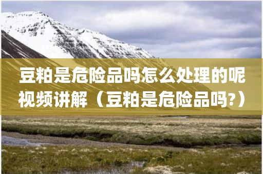 豆粕是危险品吗怎么处理的呢视频讲解(豆粕是危险品吗?)