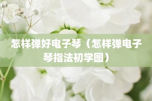 怎样弹好电子琴（怎样弹电子琴指法初学图）