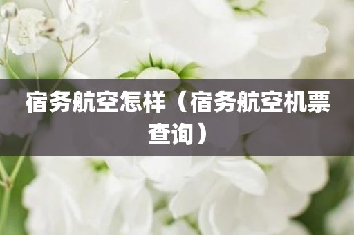 宿务航空怎样（宿务航空机票查询）