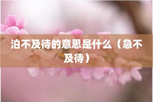 泊不及待的意思是什么（急不及待）