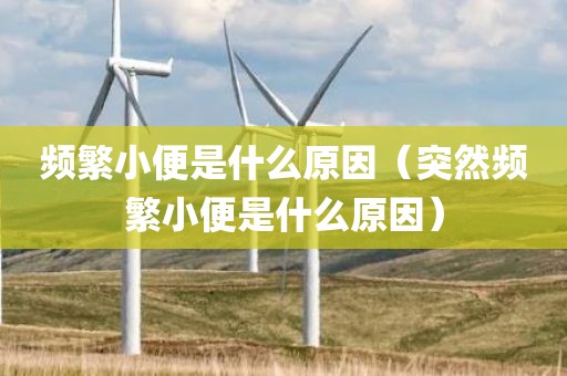 频繁小便是什么原因（突然频繁小便是什么原因）