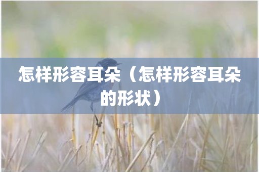 怎样形容耳朵（怎样形容耳朵的形状）