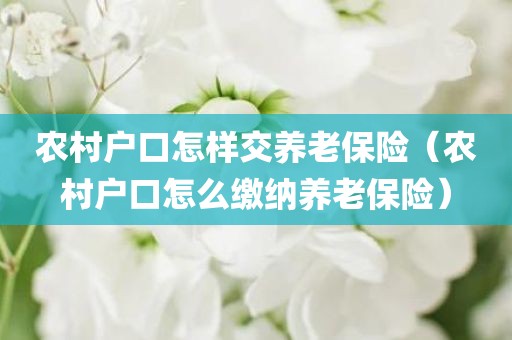 农村户口怎样交养老保险(农村户口怎么缴纳养老保险)
