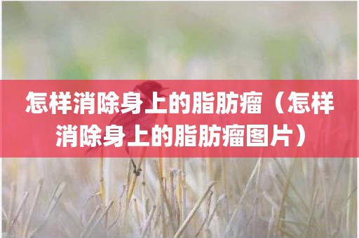 怎样消除身上的脂肪瘤（怎样消除身上的脂肪瘤图片）