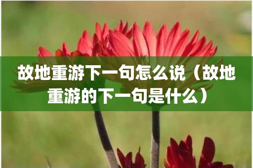 故地重游下一句怎么说（故地重游的下一句是什么）