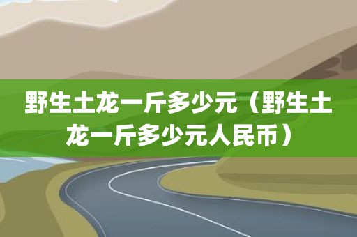 野生土龙一斤多少元（野生土龙一斤多少元人民币）