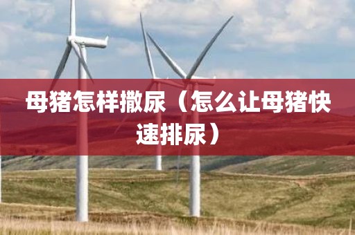 母猪怎样撒尿（怎么让母猪快速排尿）