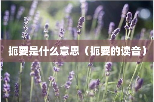 扼要是什么意思（扼要的读音）