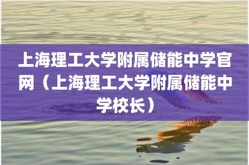 上海理工大学附属储能中学官网（上海理工大学附属储能中学校长）