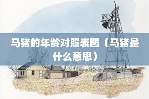 马猪的年龄对照表图（马猪是什么意思）