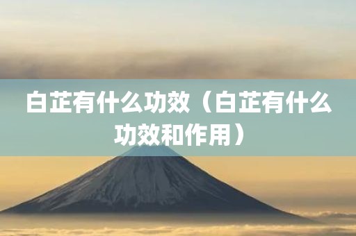 白芷有什么功效（白芷有什么功效和作用）