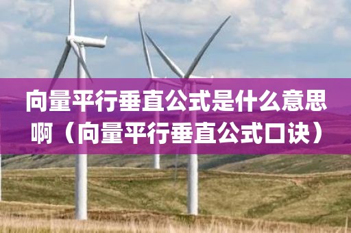 向量平行垂直公式是什么意思啊（向量平行垂直公式口诀）