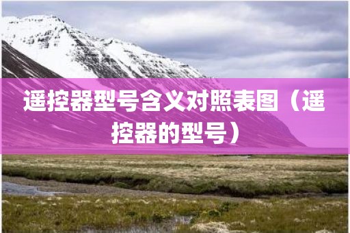 遥控器型号含义对照表图（遥控器的型号）