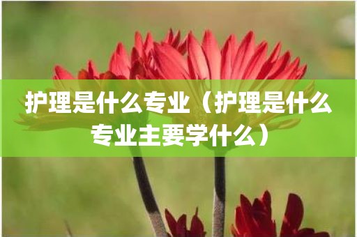 护理是什么专业(护理是什么专业主要学什么)