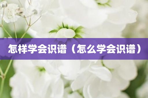 怎样学会识谱（怎么学会识谱）