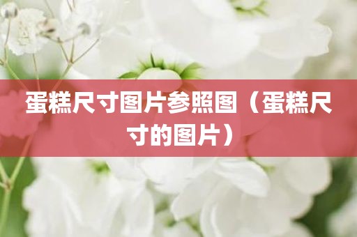 蛋糕尺寸图片参照图（蛋糕尺寸的图片）