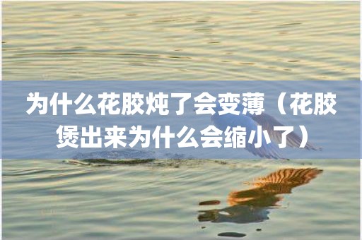 为什么花胶炖了会变薄（花胶煲出来为什么会缩小了）
