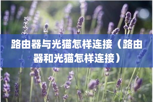 路由器与光猫怎样连接（路由器和光猫怎样连接）