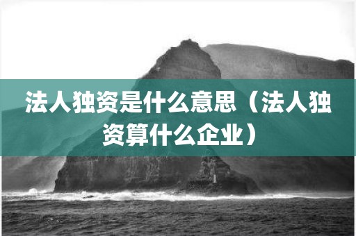 法人独资是什么意思（法人独资算什么企业）