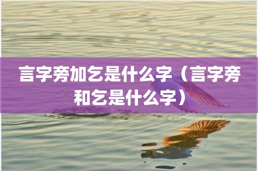 言字旁加乞是什么字（言字旁和乞是什么字）