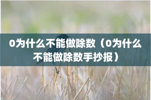 0为什么不能做除数（0为什么不能做除数手抄报）