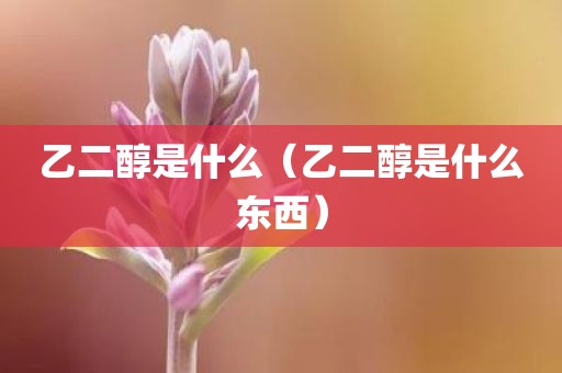 乙二醇是什么（乙二醇是什么东西）