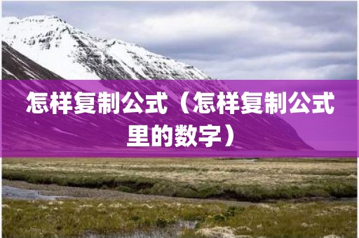 怎样复制公式（怎样复制公式里的数字）