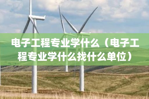 电子工程专业学什么（电子工程专业学什么找什么单位）