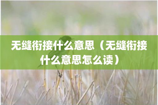 无缝衔接什么意思（无缝衔接什么意思怎么读）