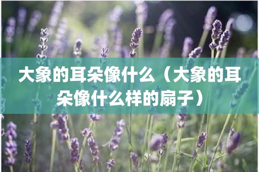 大象的耳朵像什么（大象的耳朵像什么样的扇子）