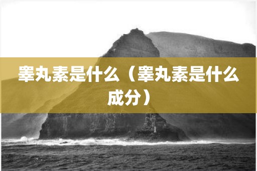 睾丸素是什么（睾丸素是什么成分）