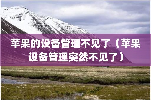 苹果的设备管理不见了(苹果设备管理突然不见了)