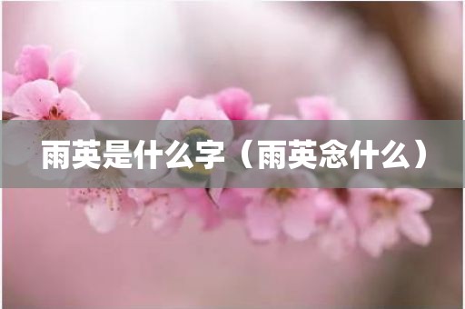 雨英是什么字(雨英念什么)