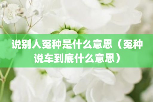 说别人冤种是什么意思（冤种说车到底什么意思）