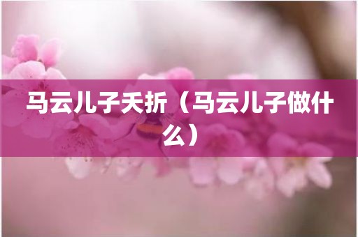 马云儿子夭折（马云儿子做什么）