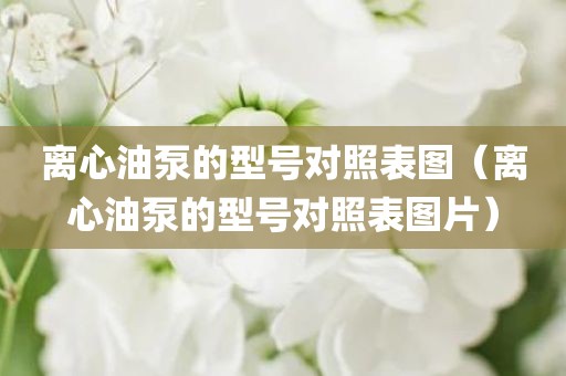 离心油泵的型号对照表图（离心油泵的型号对照表图片）