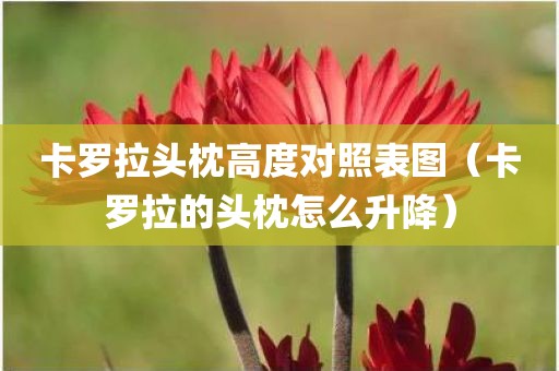 卡罗拉头枕高度对照表图(卡罗拉的头枕怎么升降)