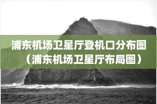 浦东机场卫星厅登机口分布图（浦东机场卫星厅布局图）
