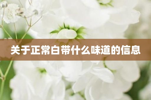 关于正常白带什么味道的信息