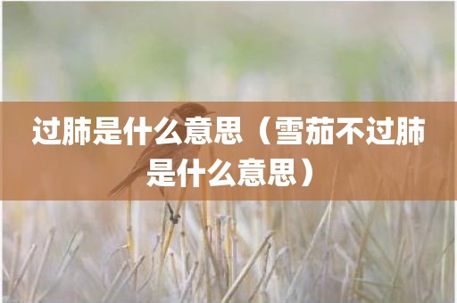 过肺是什么意思（雪茄不过肺是什么意思）