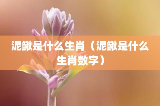 泥鳅是什么生肖（泥鳅是什么生肖数字）