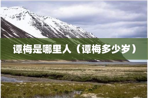 谭梅是哪里人（谭梅多少岁）