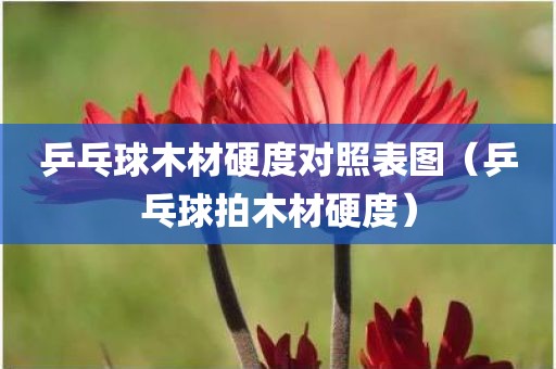 乒乓球木材硬度对照表图（乒乓球拍木材硬度）